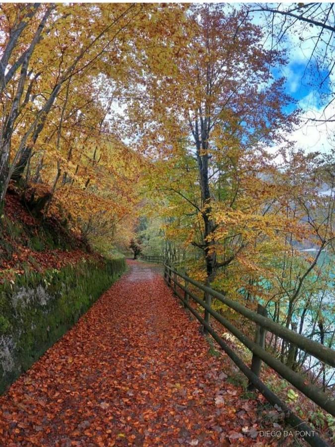 Colori Nel Parco Apartment Cesiomaggiore Bagian luar foto